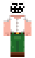 PokeFan28 minecraft skin