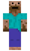 Leyfi minecraft skin