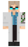 6db443b7b34866 minecraft skin
