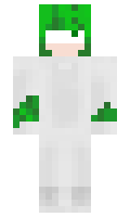 6dccfda522665f minecraft skin
