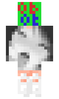 0b0torg minecraft skin