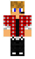 discopaloplayer minecraft skin