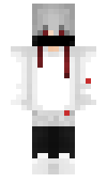 ZipblocBag minecraft skin