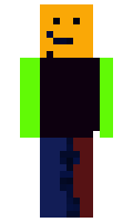 suomileijona minecraft skin