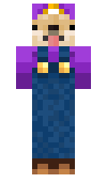 6e3795cdc42238 minecraft skin