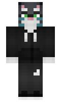 coolcat430 minecraft skin