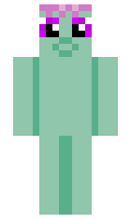 6e792ca37a072f minecraft skin