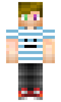 maksimpro minecraft skin