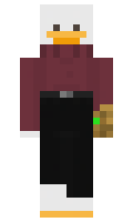 6e838f3a896341 minecraft skin