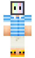 6e87aa18997a09 minecraft skin