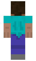 Salve minecraft skin