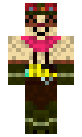 wins minecraft skin