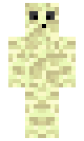 6ea625875d4535 minecraft skin