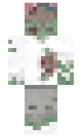 6ea7c1982c75ae minecraft skin