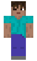 6ea996d1fb3fe0 minecraft skin