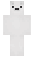 rokitiki minecraft skin