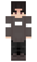 Bagboi minecraft skin