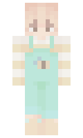 Door2Door minecraft skin