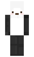 Ros minecraft skin