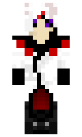 dersuchti11 minecraft skin