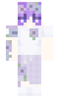 6f66758c373e5a minecraft skin