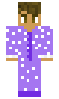 EjThePj minecraft skin
