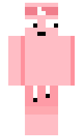 plir minecraft skin