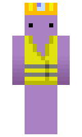 Apting minecraft skin
