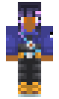 7004a0702232fa minecraft skin