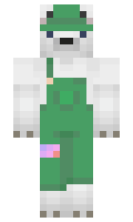 natcatinthehat minecraft skin