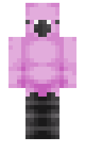 carrll minecraft skin
