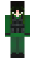 706a95fec95edd minecraft skin