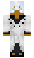7070698dcac11a minecraft skin
