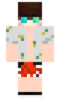 pdpdpd minecraft skin
