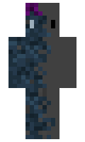 Chrosen minecraft skin