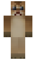 thomask12 minecraft skin