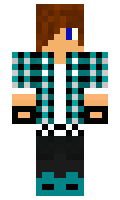 70a7111cfbea89 minecraft skin