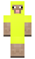 NatCatBobMan minecraft skin