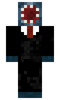 70bfd1ecbab338 minecraft skin
