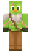 70cb8244967950 minecraft skin