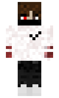70d2c2321ccda8 minecraft skin