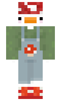 coolisa minecraft skin