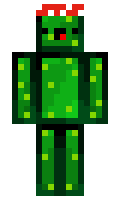 HippyPickles minecraft skin