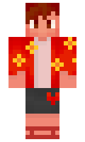 71185835d2455a minecraft skin