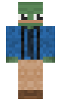 711b9a5493a95c minecraft skin