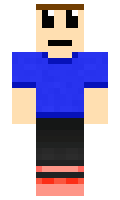 miralllius minecraft skin