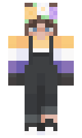 713be2c9fd1d41 minecraft skin