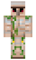 novar minecraft skin