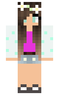 Dinicraft minecraft skin