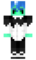 n30nS0n1c minecraft skin